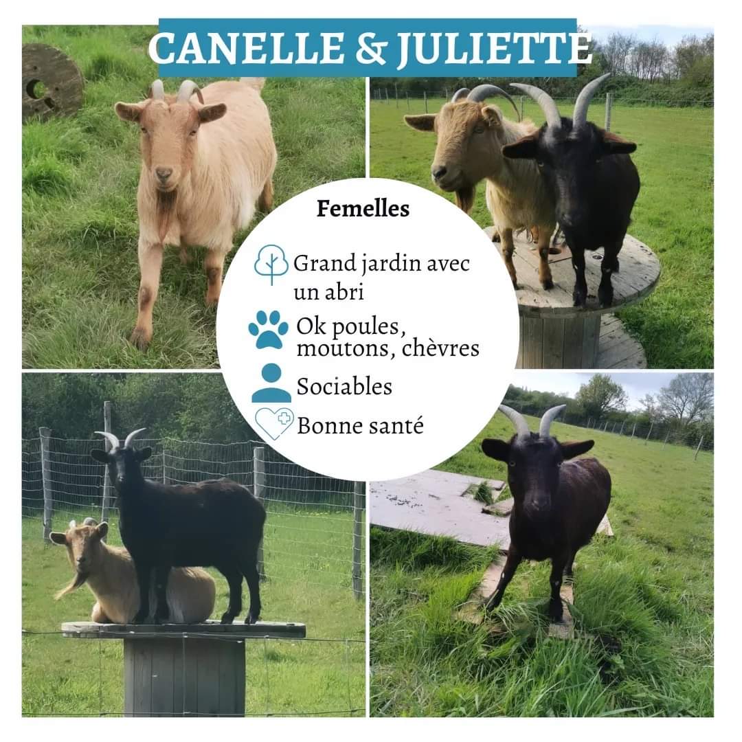Cannelle et Juliette