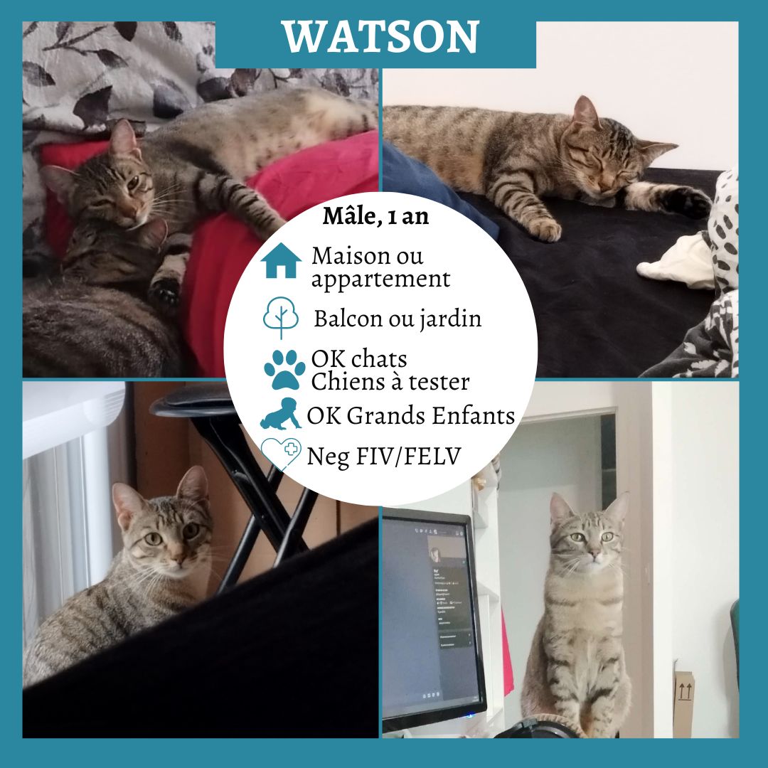 Watson