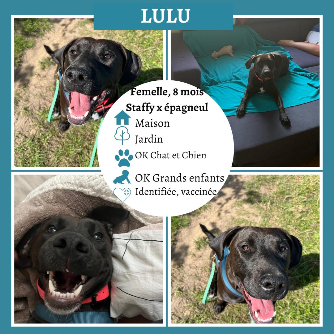 Lulu