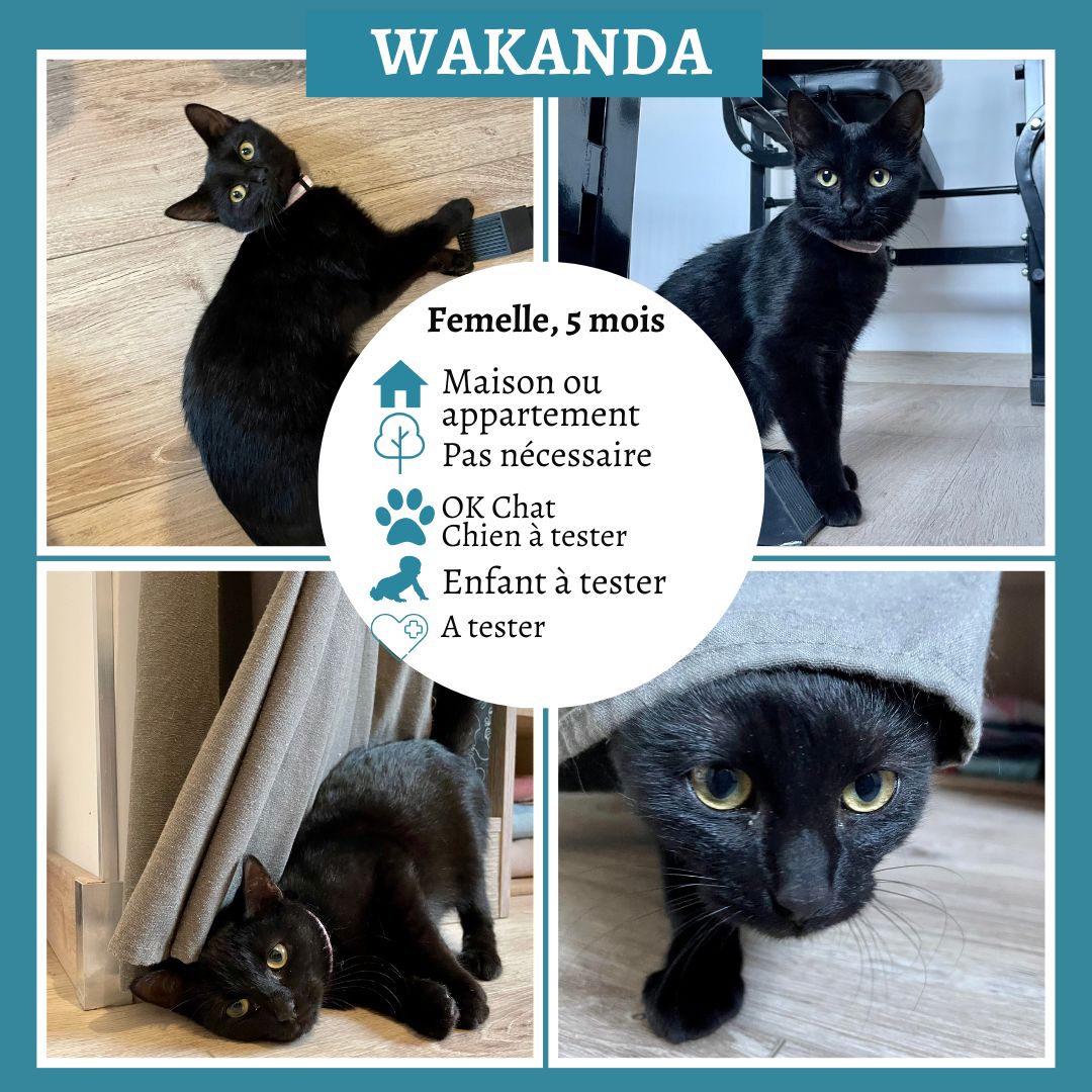 Wakanda