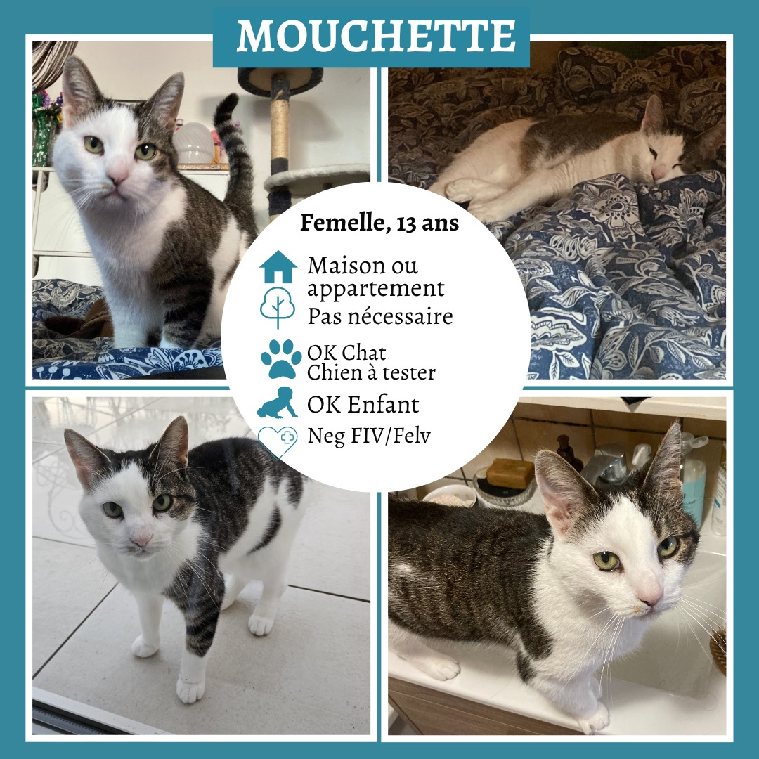 Mouchette
