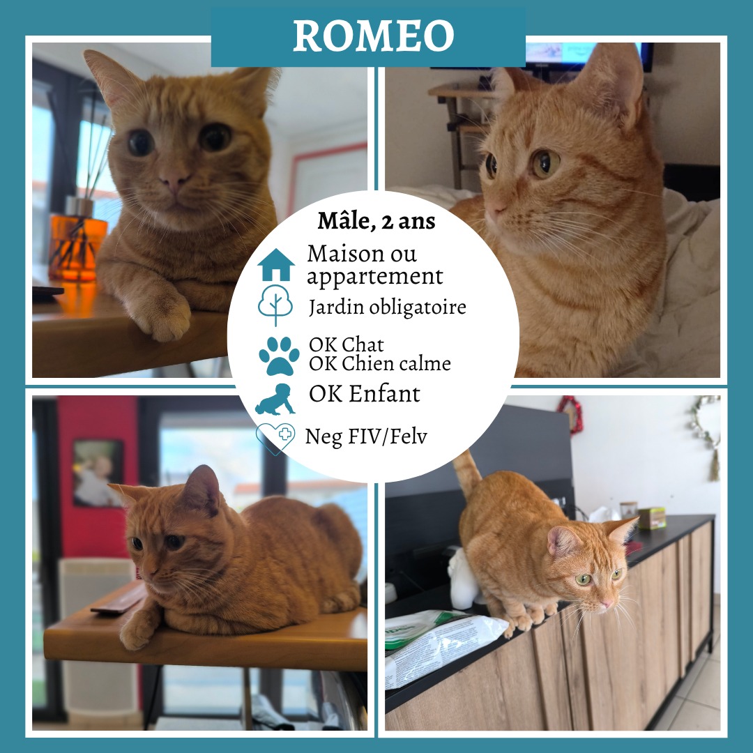 Roméo