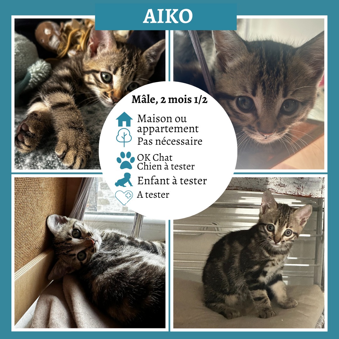 Aiko