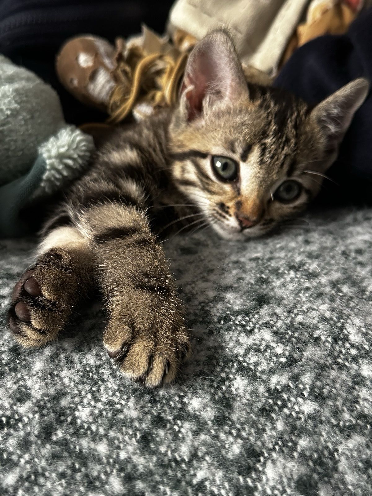 Aiko