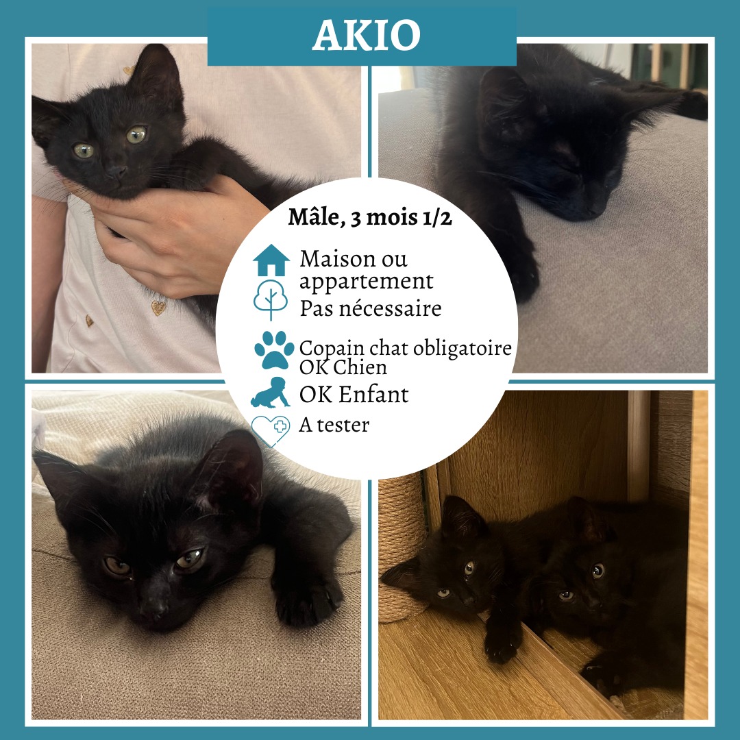Akio