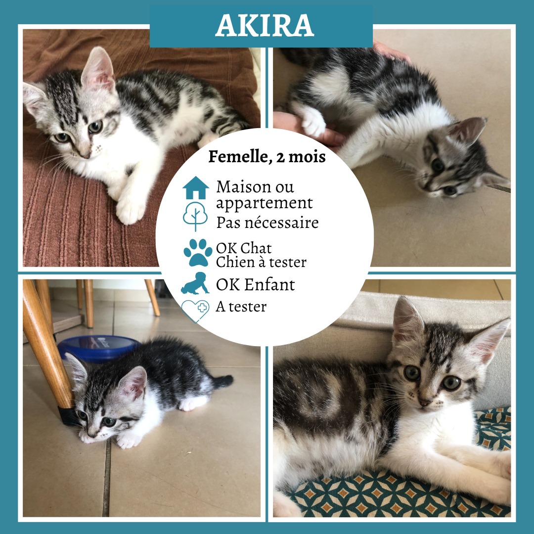 Akira