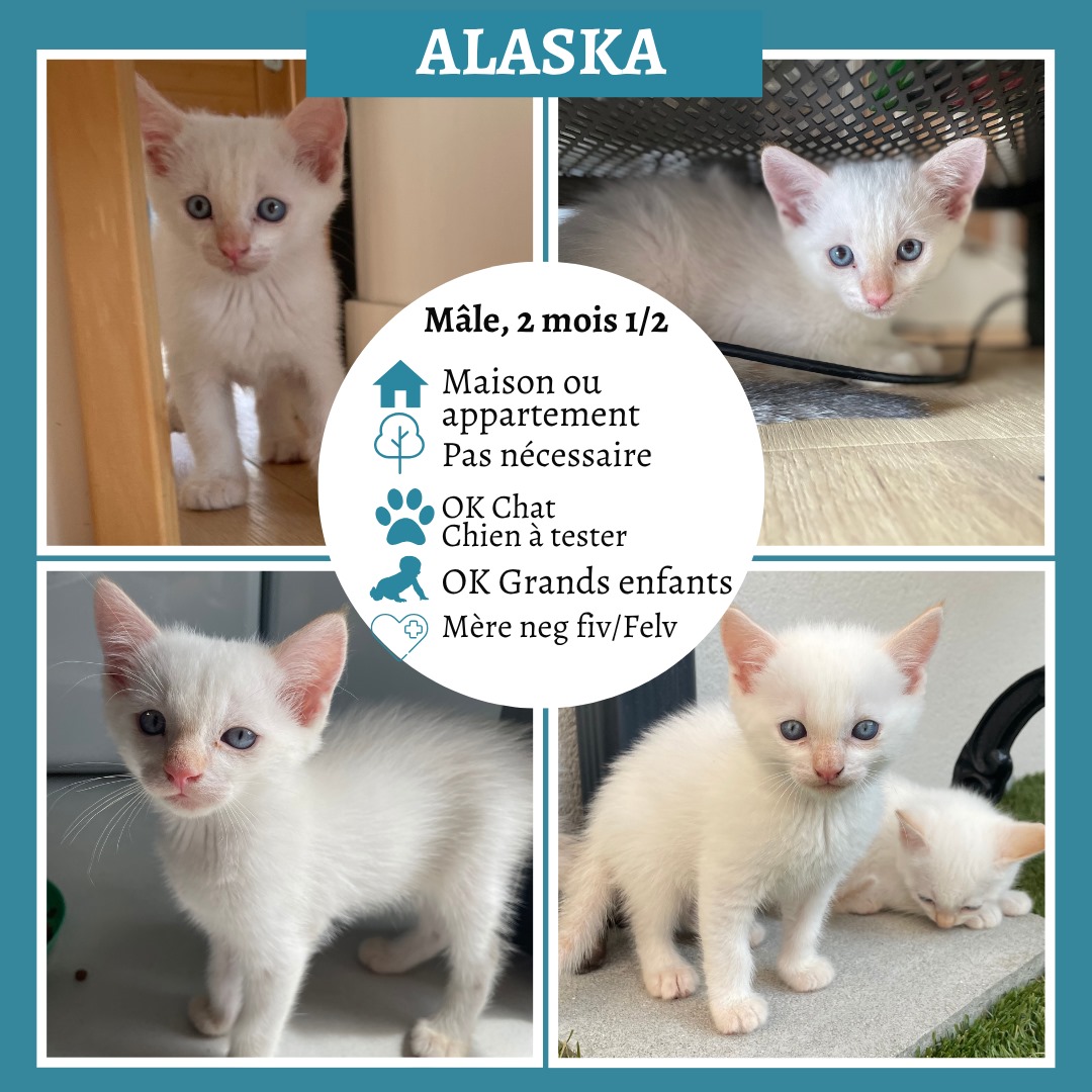Alaska