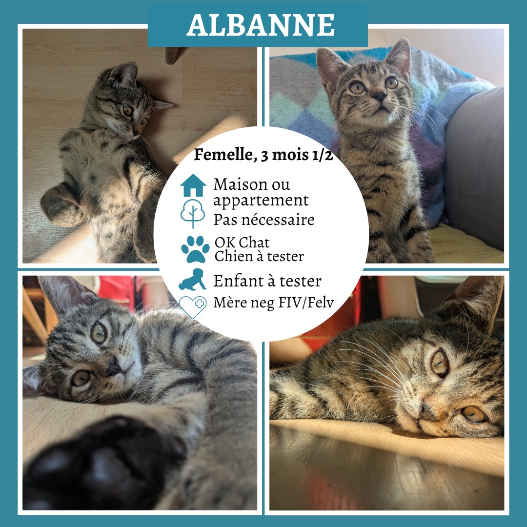 Albanne