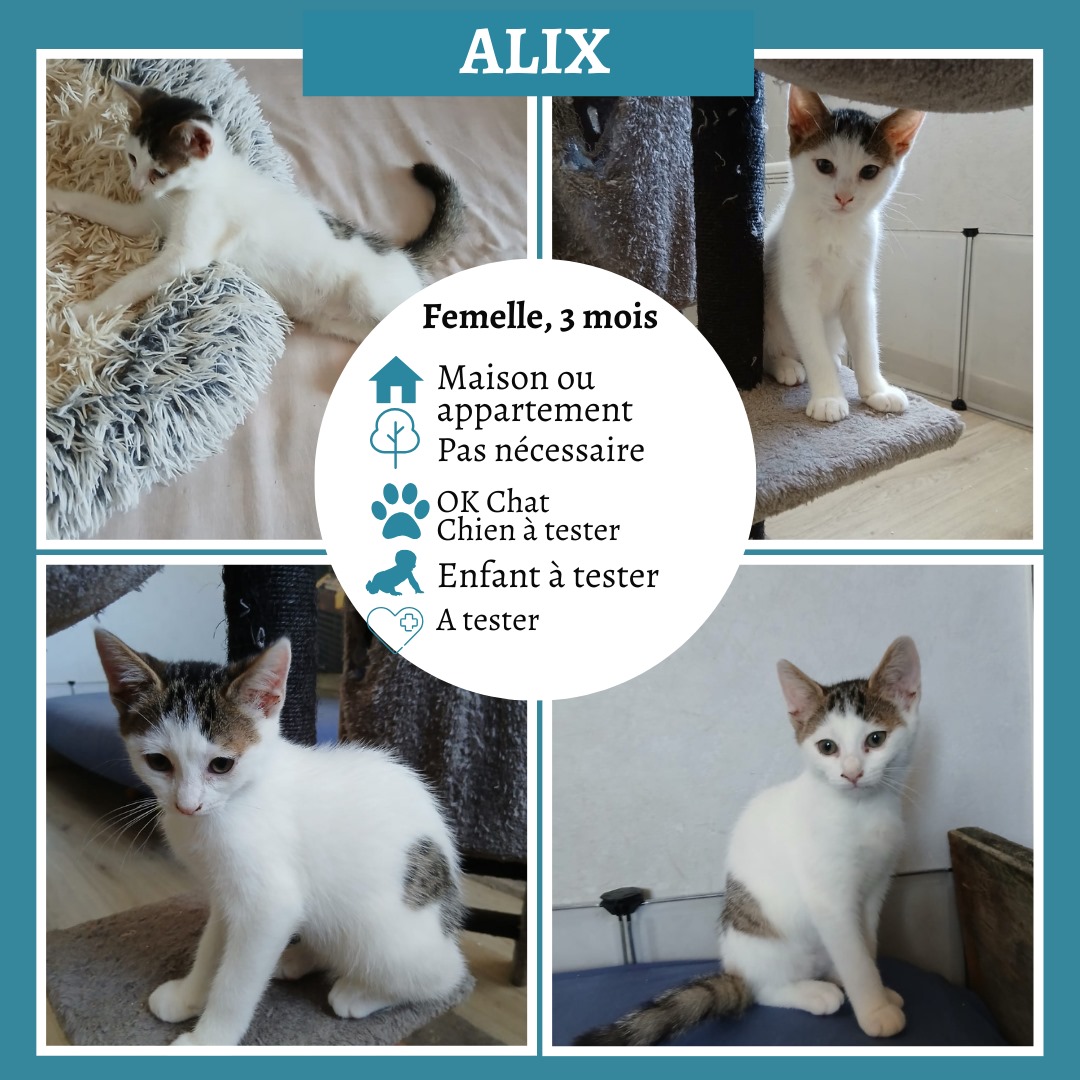 Alix