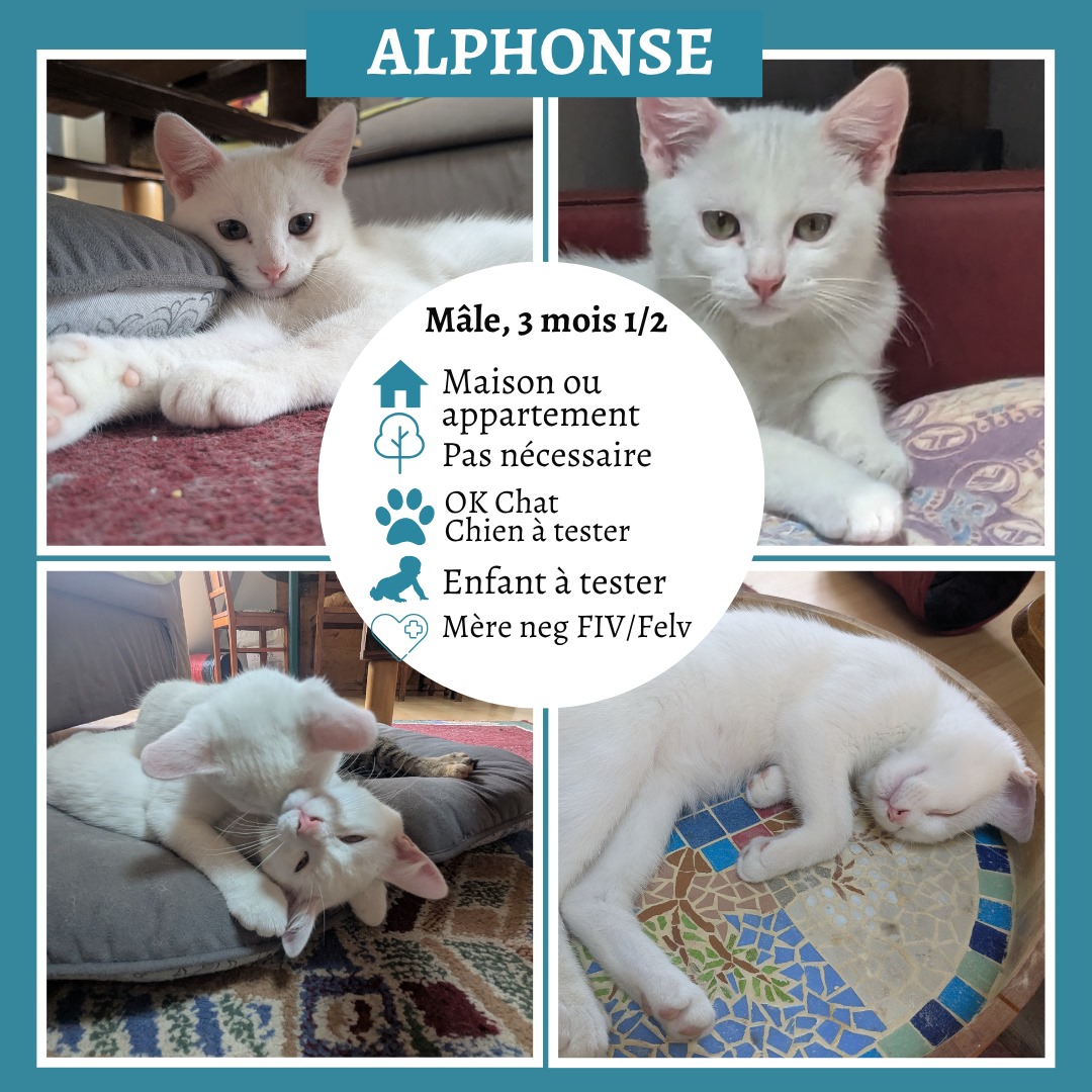 Alphonse