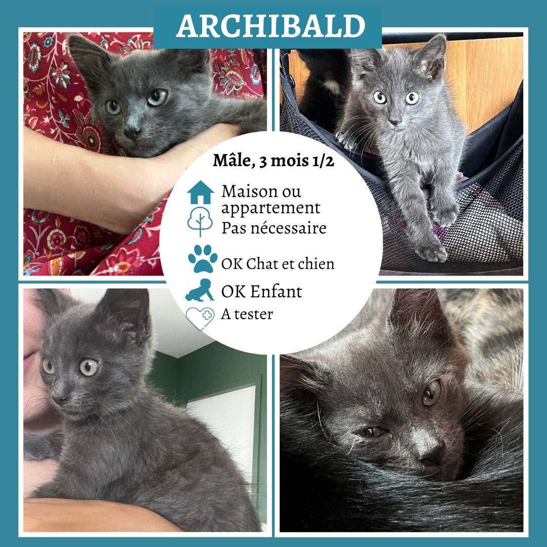 Archibald