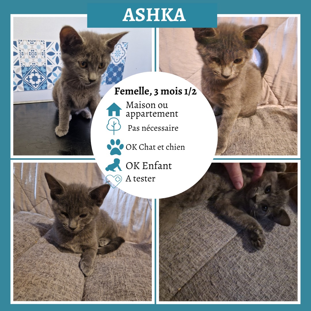 Ashka
