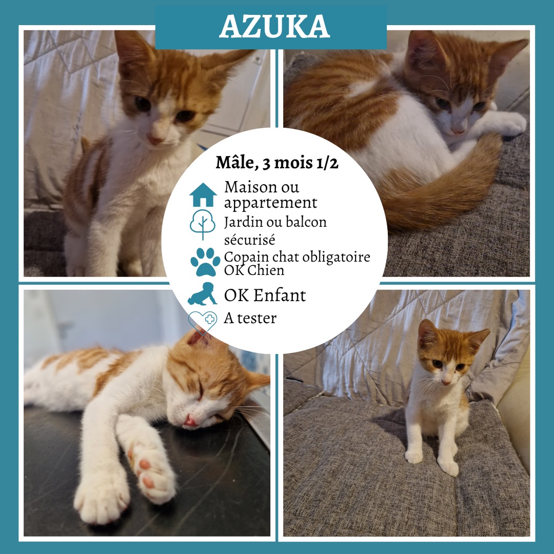 Azuka
