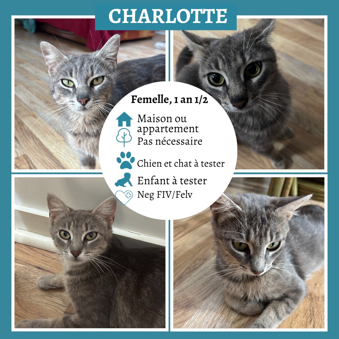 Charlotte