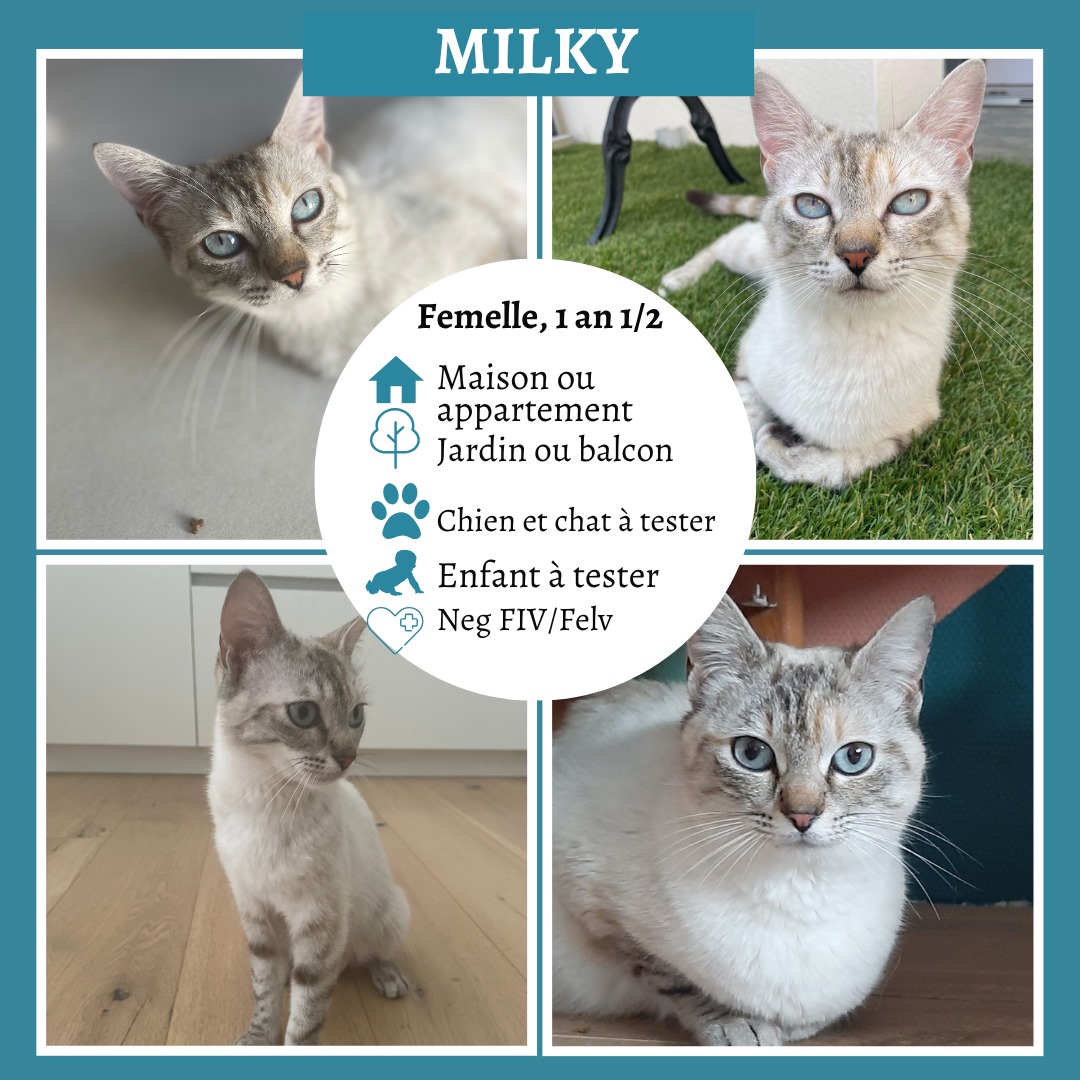 Milky