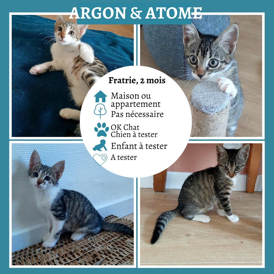Argon et Atome