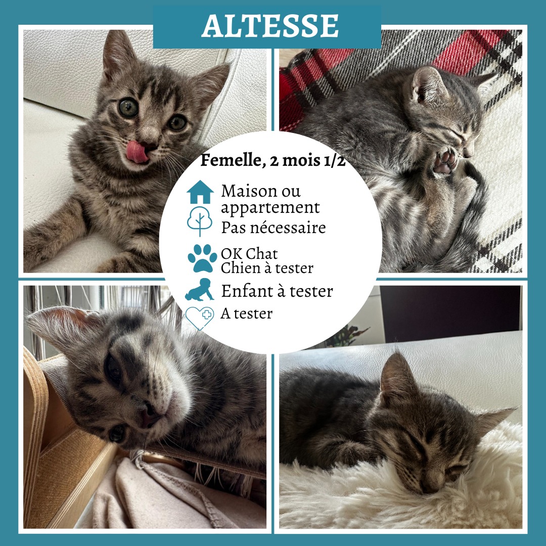 Altesse
