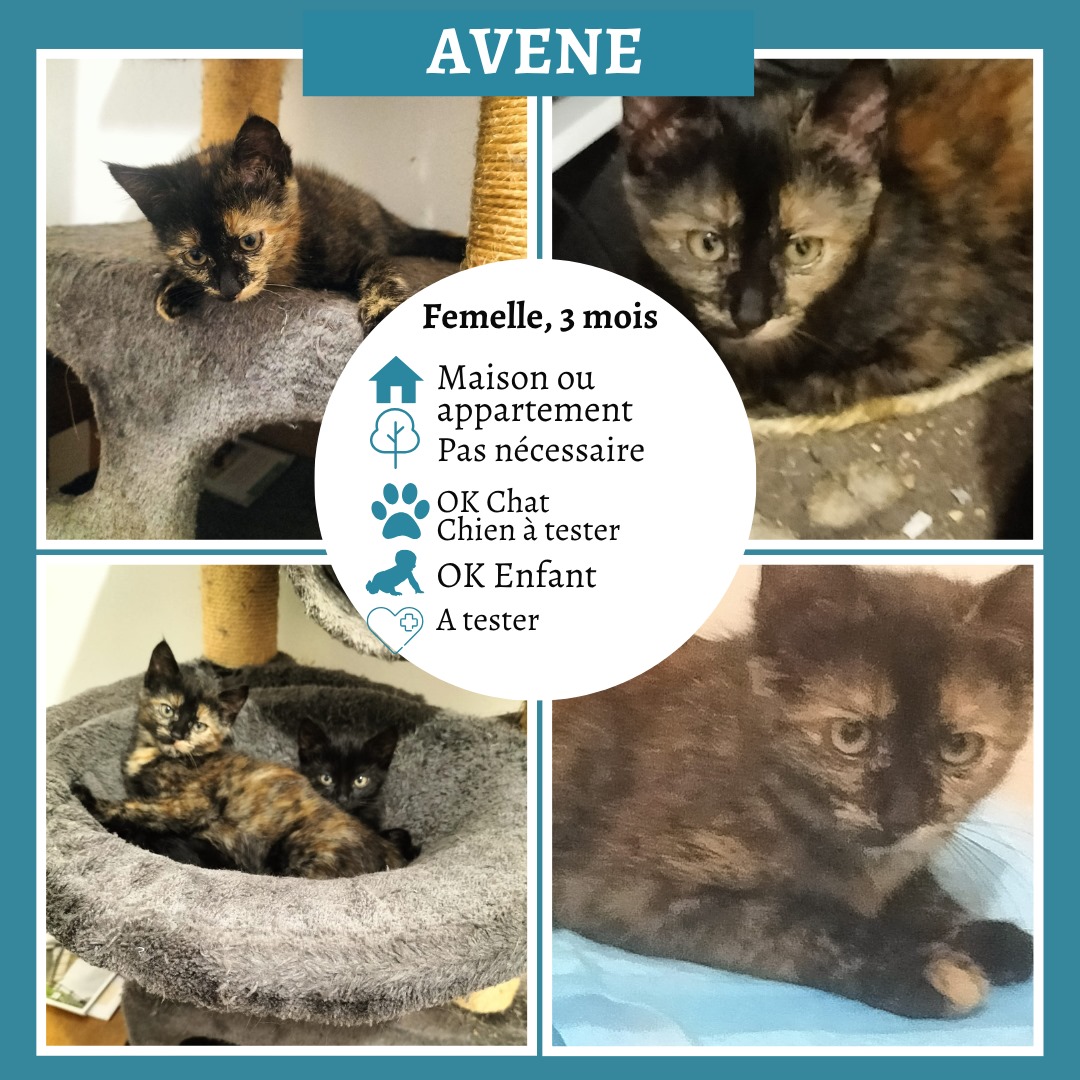 Avène