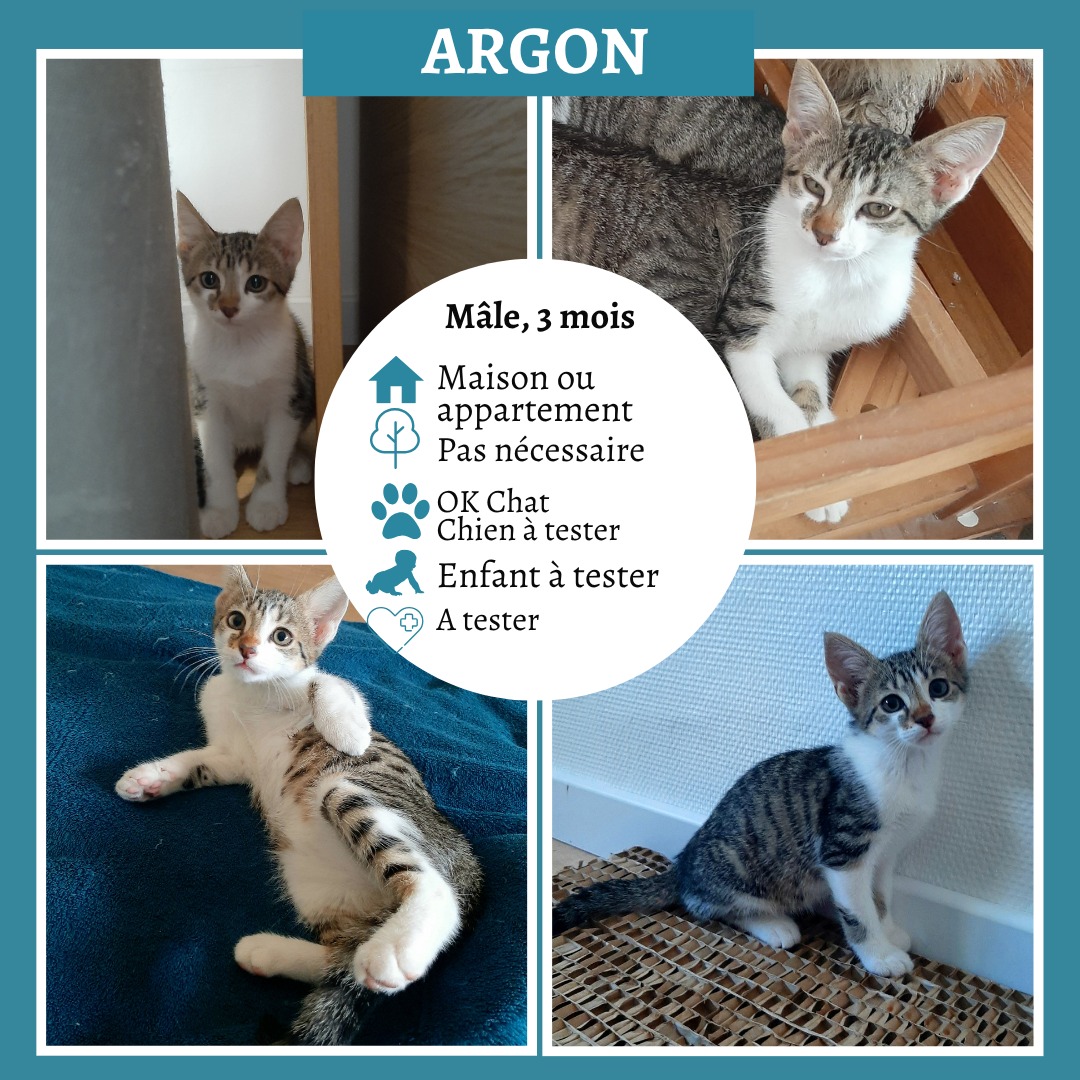Argon