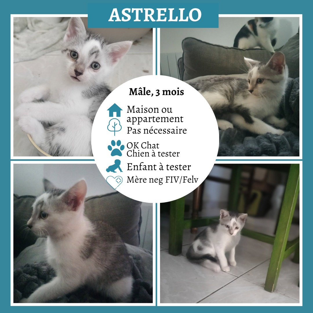 Astrello