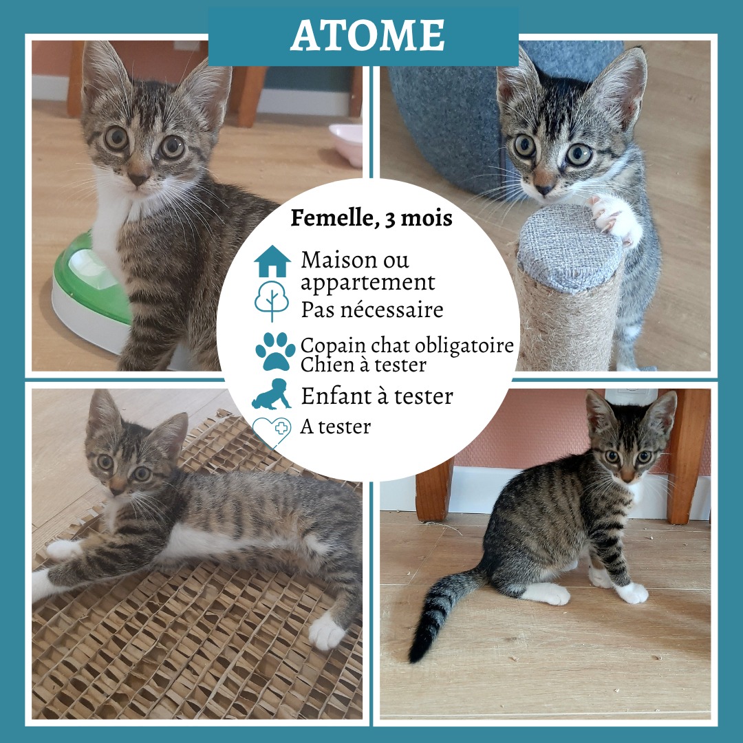 Atome