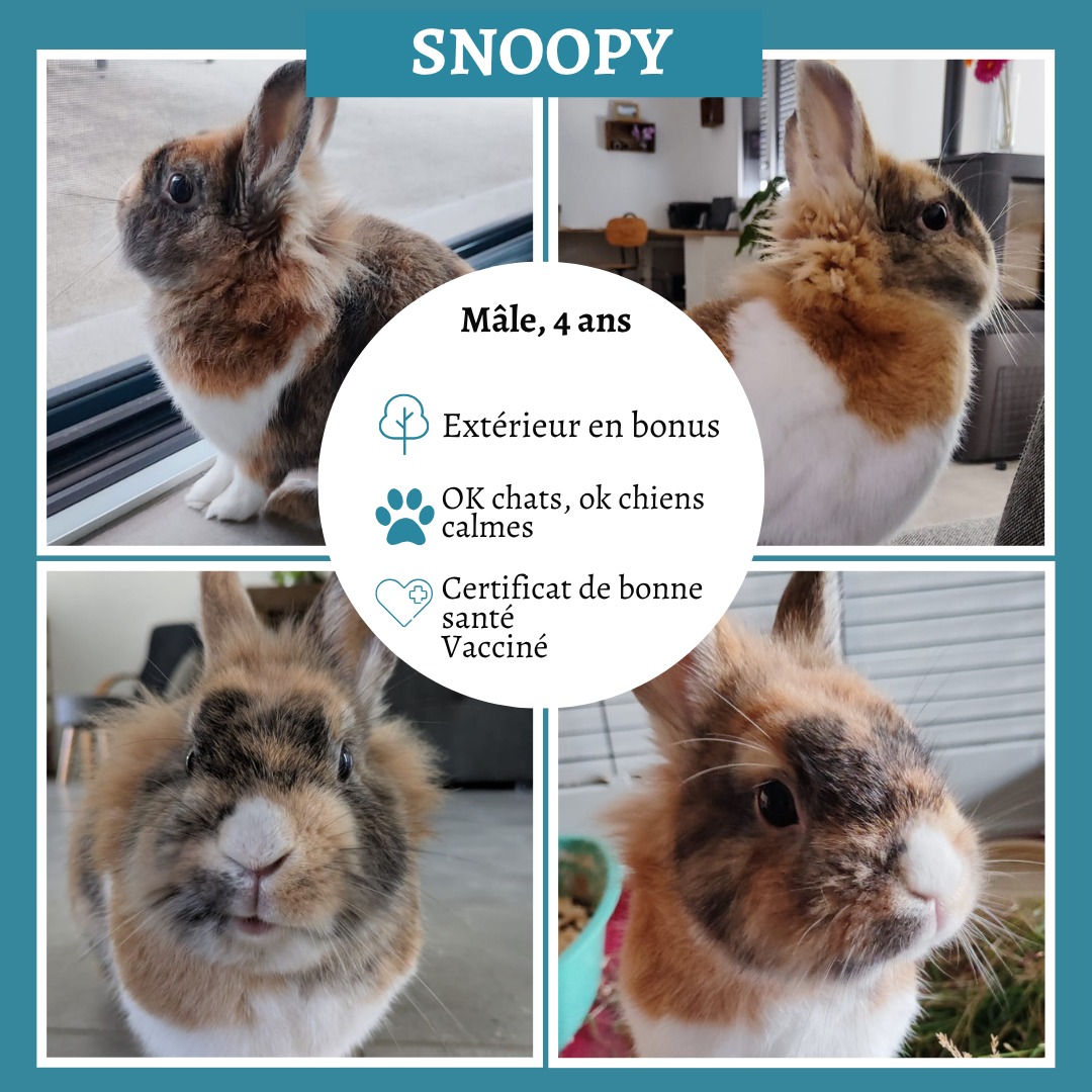 Snoopy