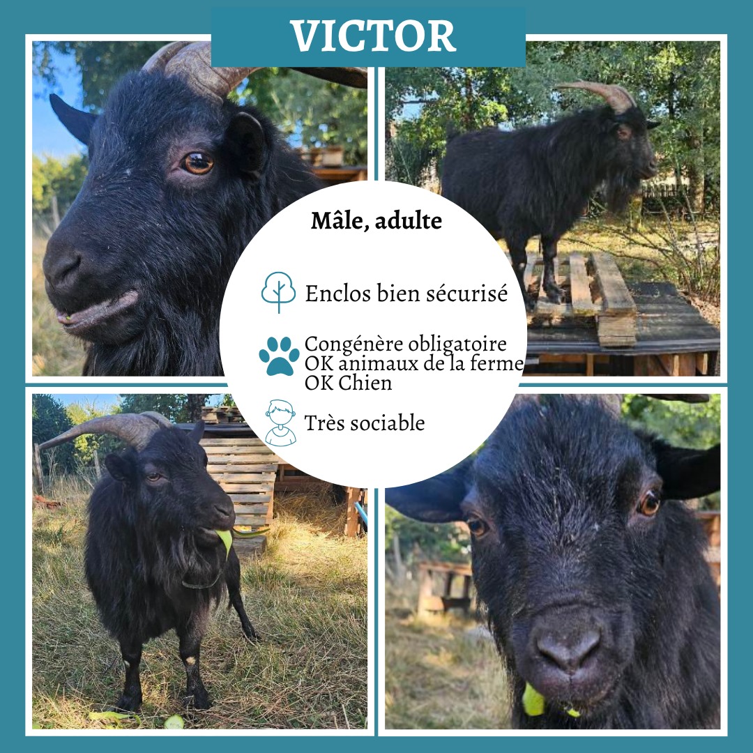 Victor