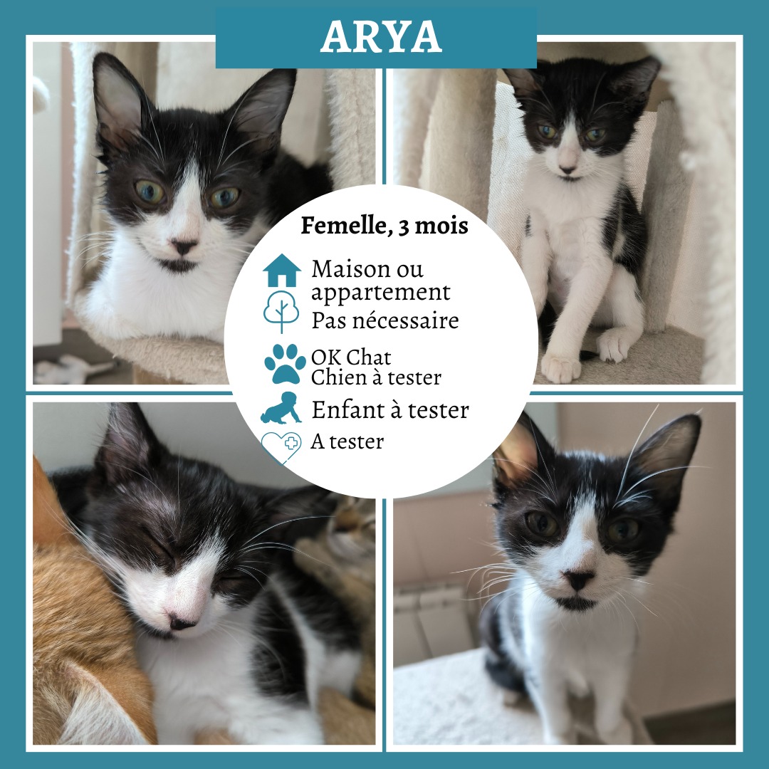 Arya