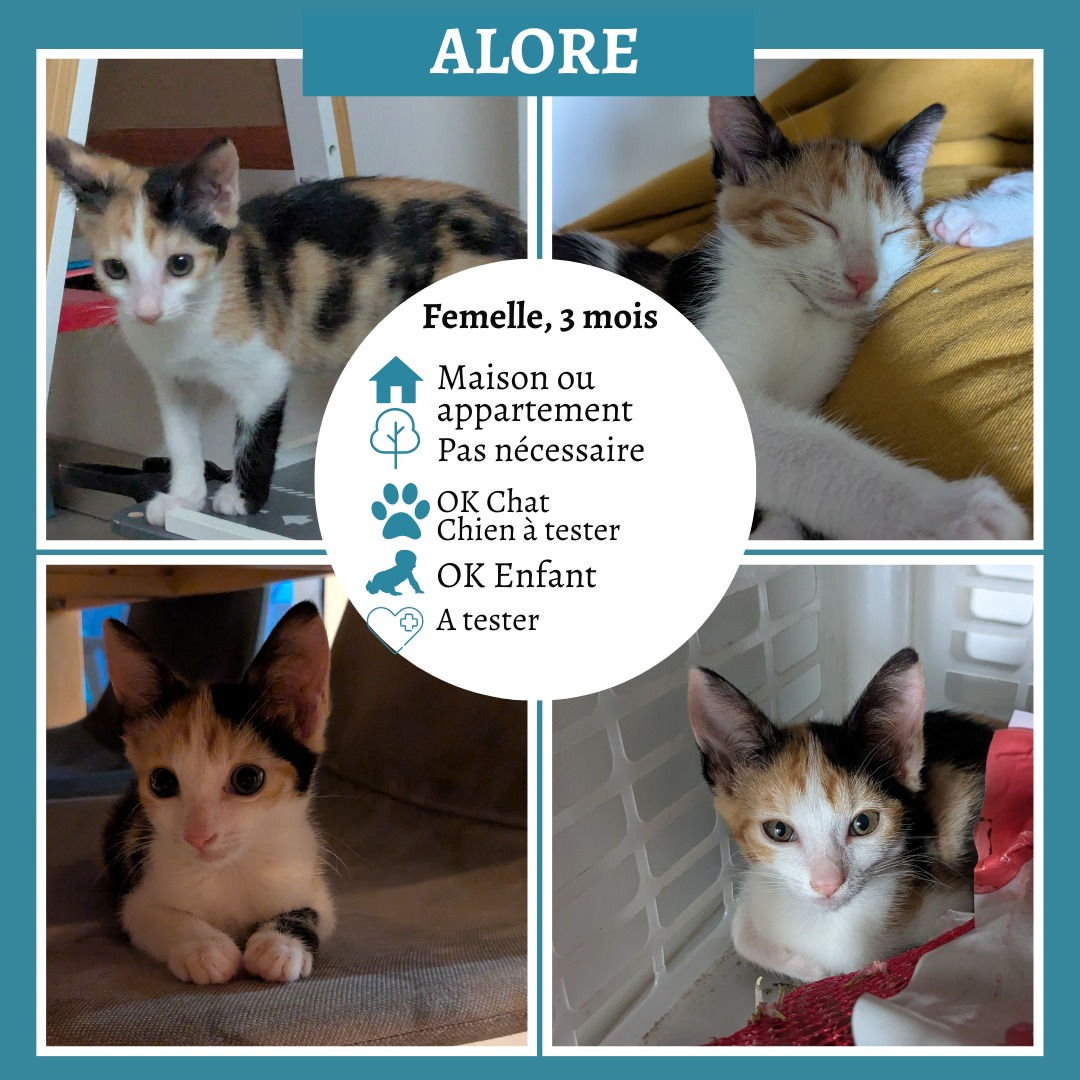 Alore