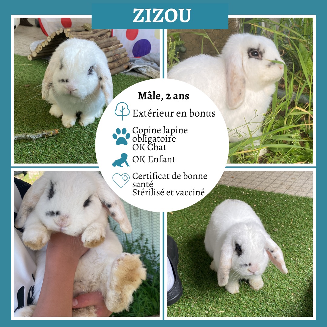 Zizou
