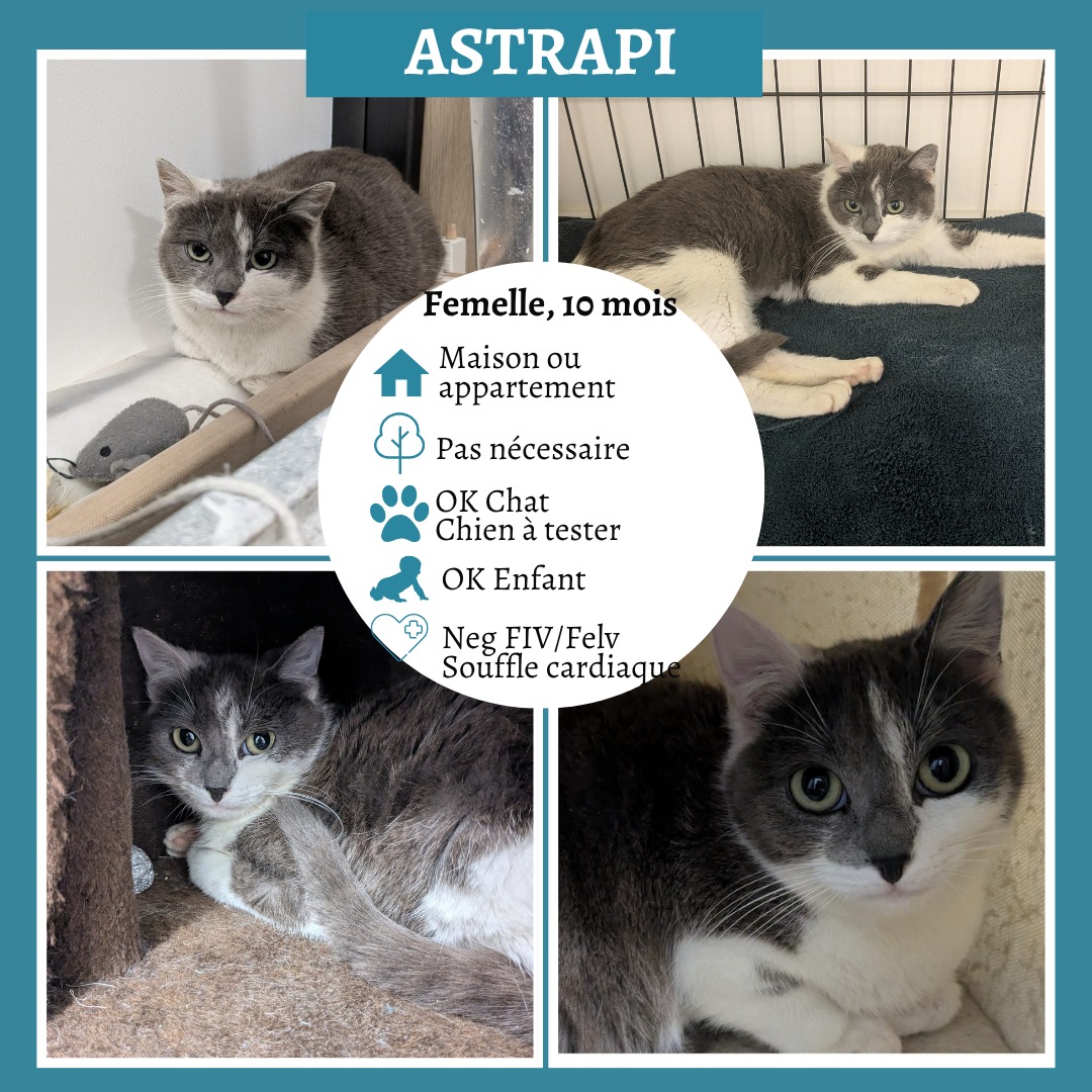 Astrapi