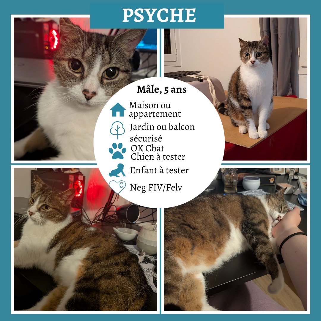 Psyché