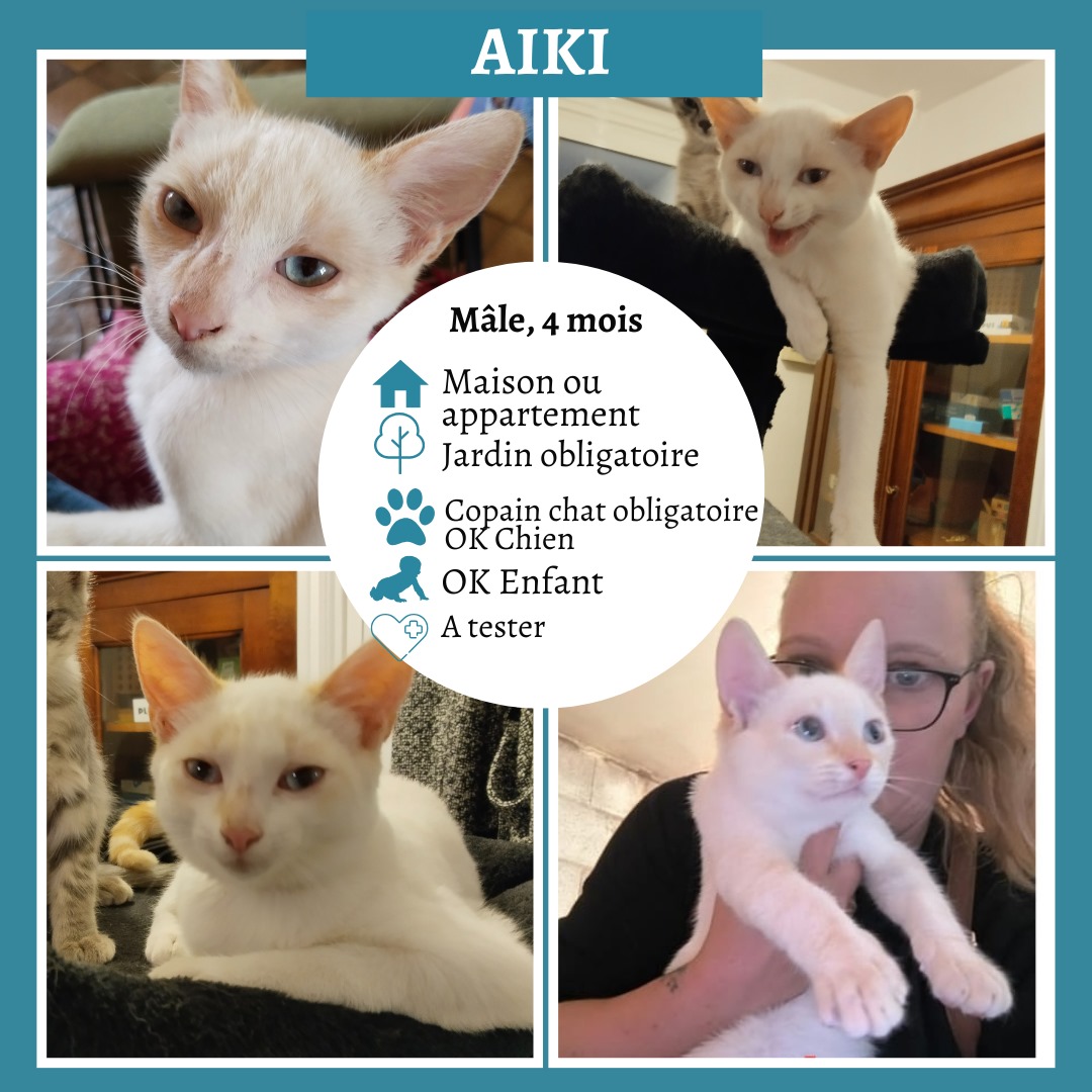 Aiki