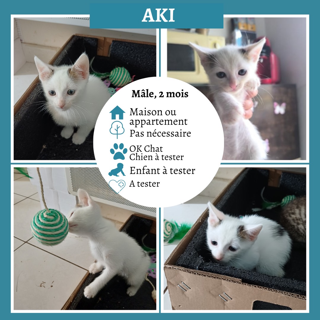 Aki