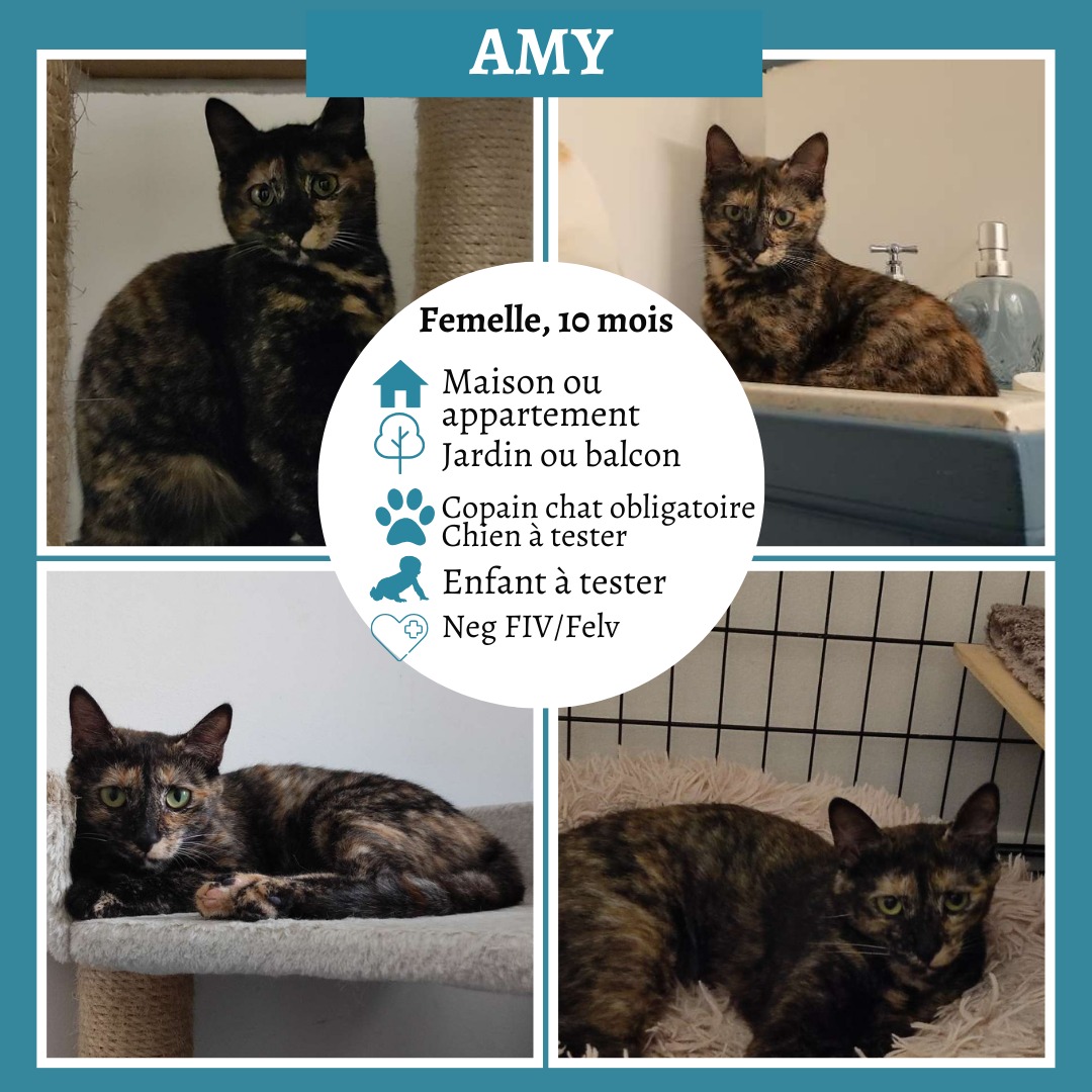 Amy