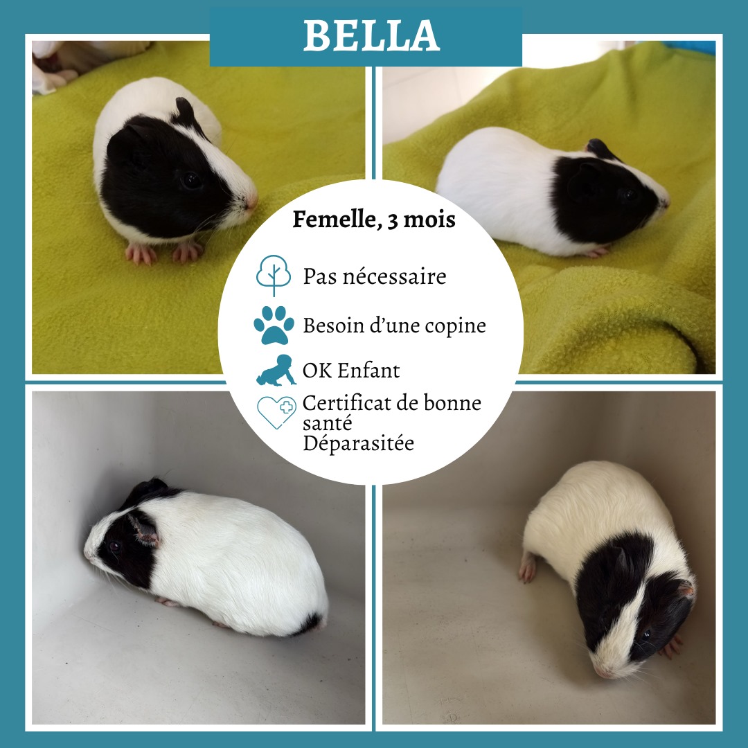 Bella