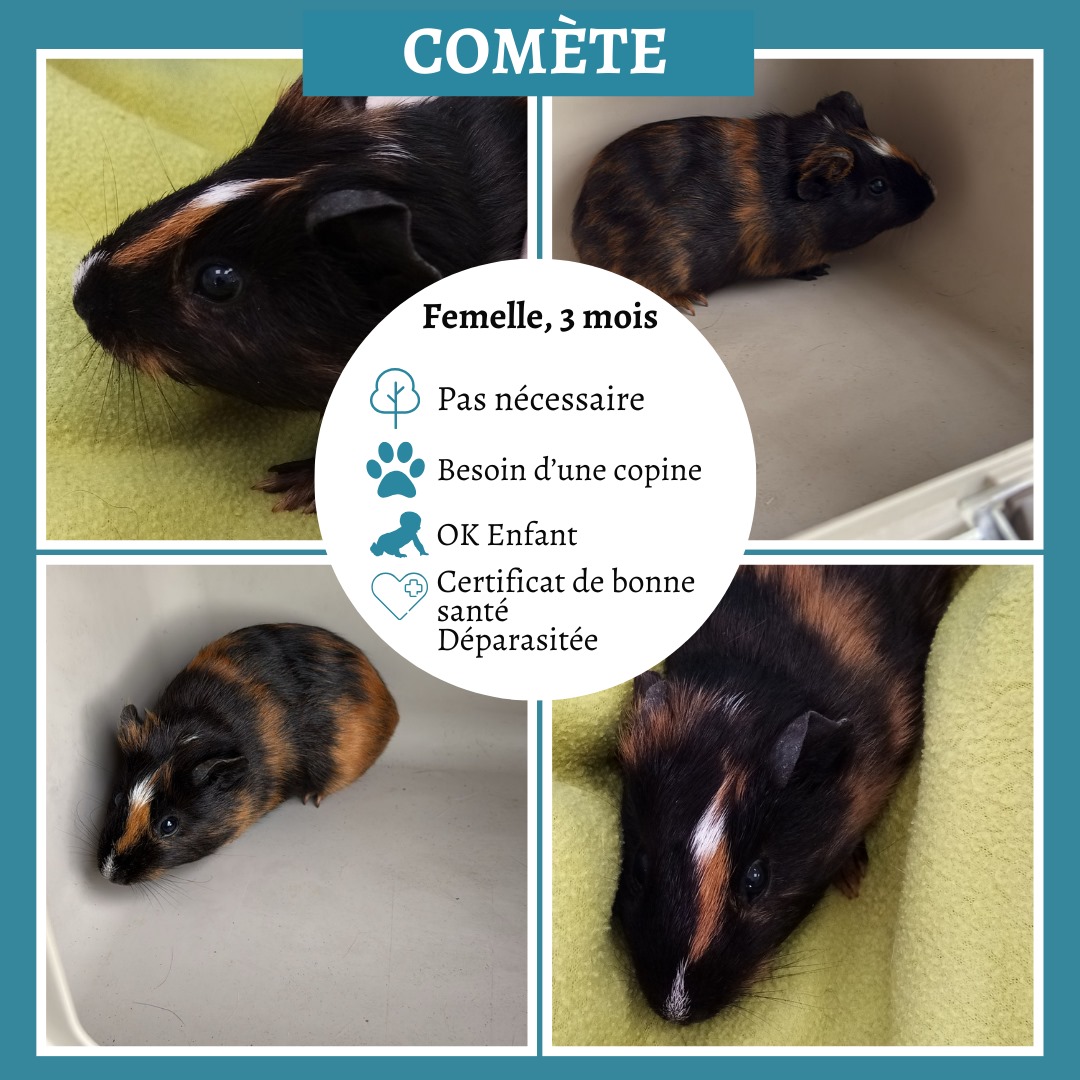 Comète