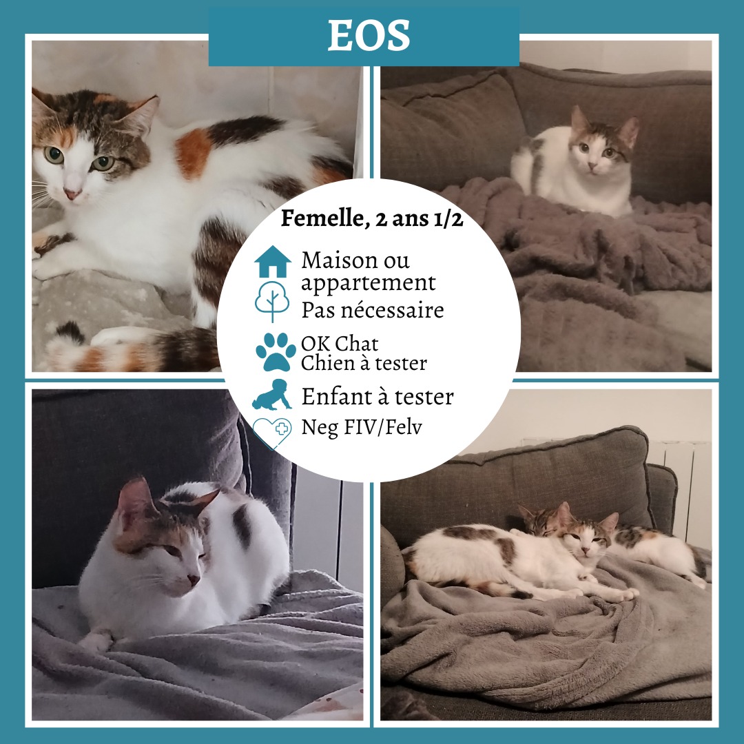 Eos