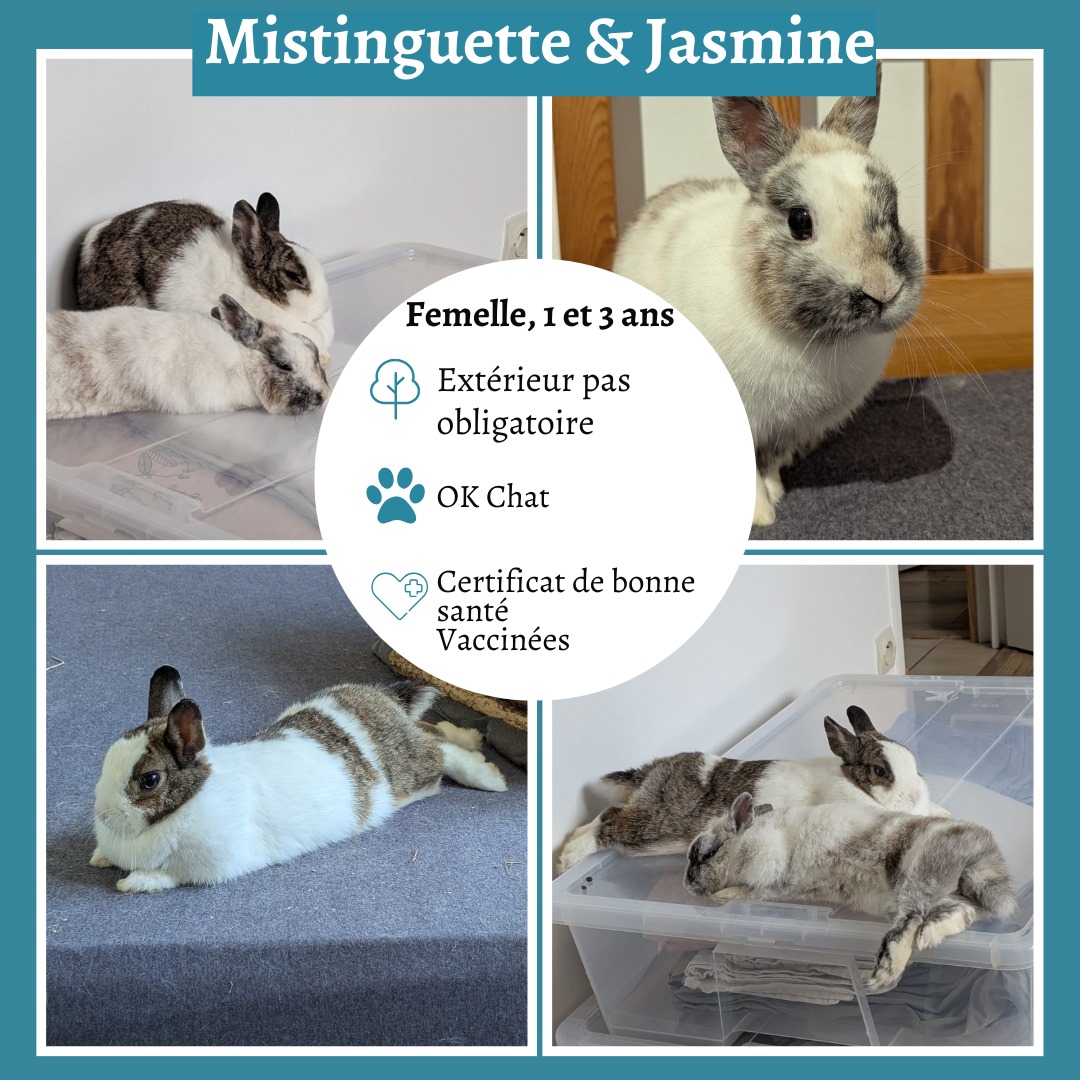 Mistinguette & Jasmine