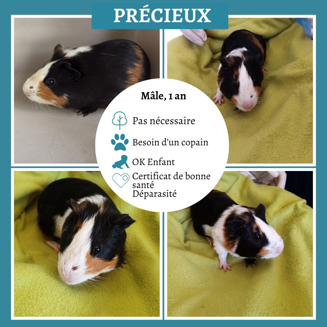 Précieux