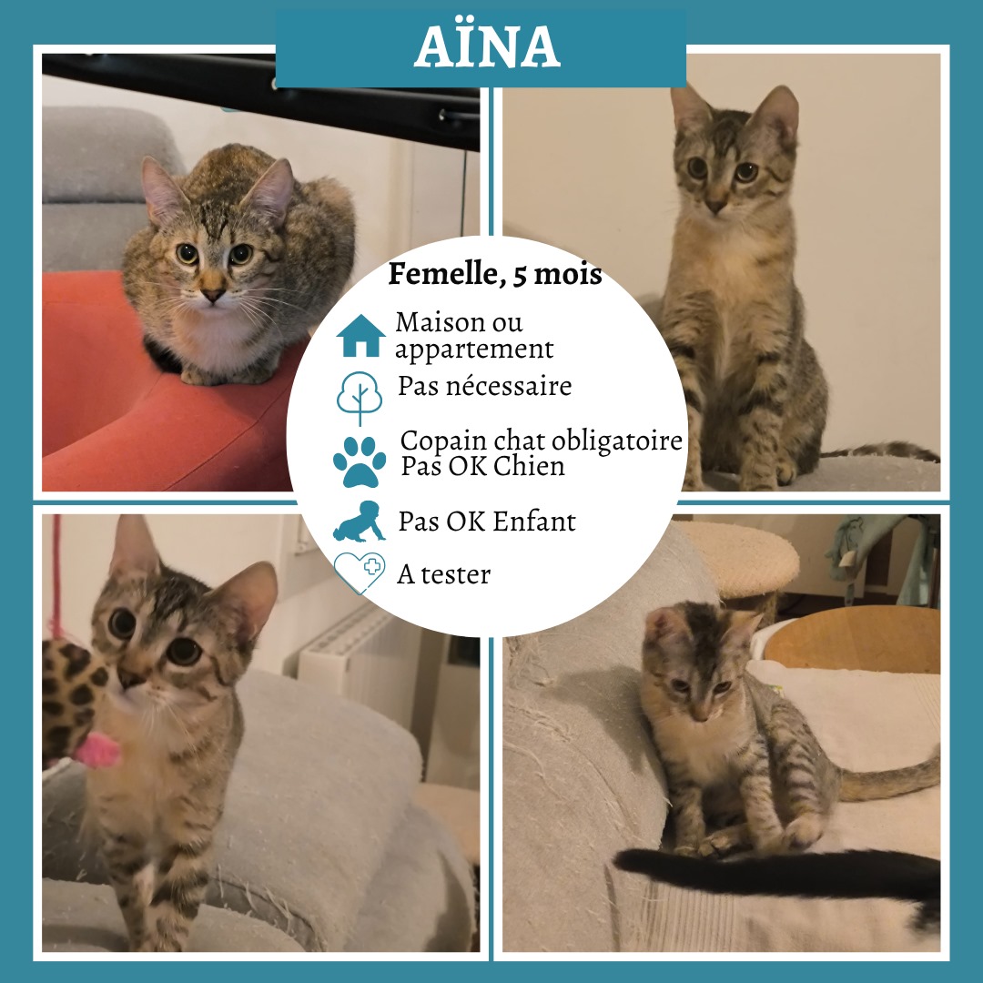 Aïna