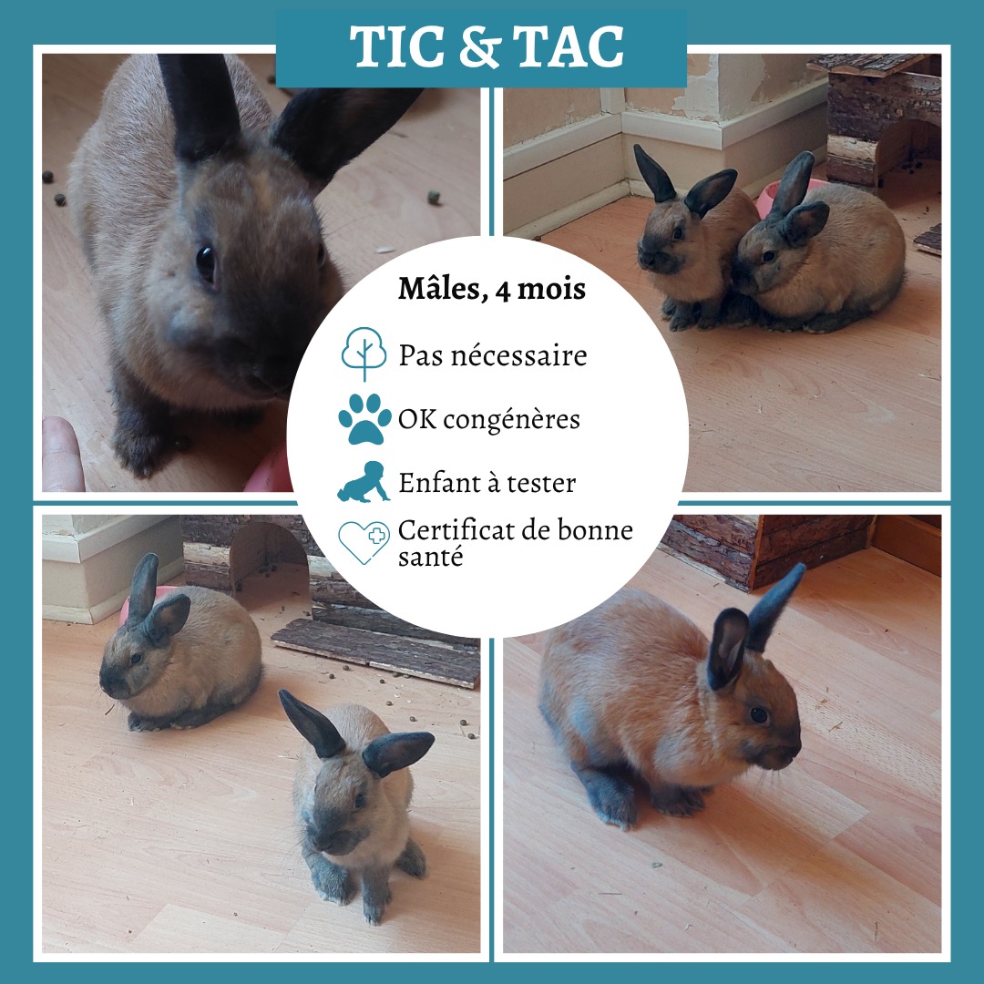 Tic & Tac