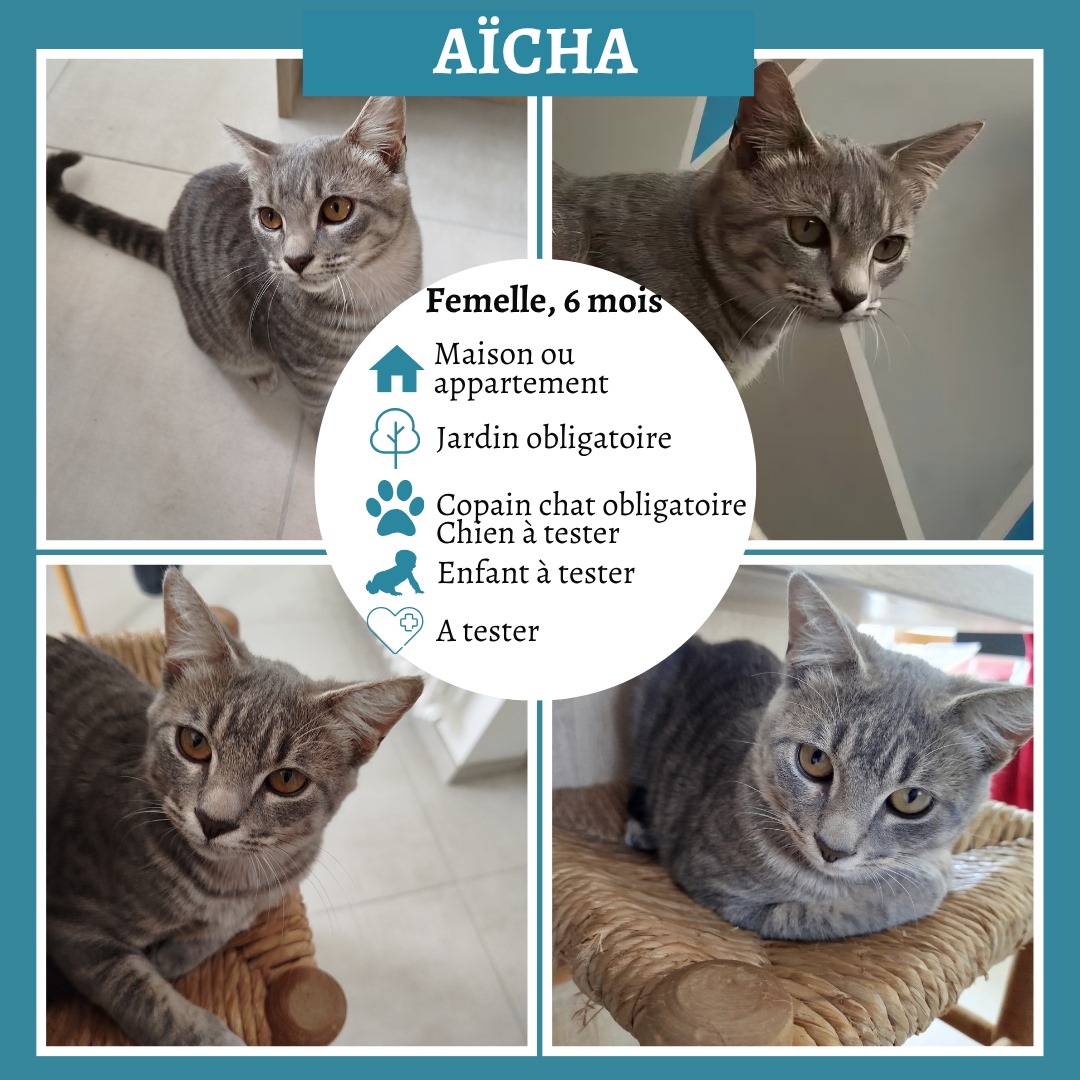 Aïcha