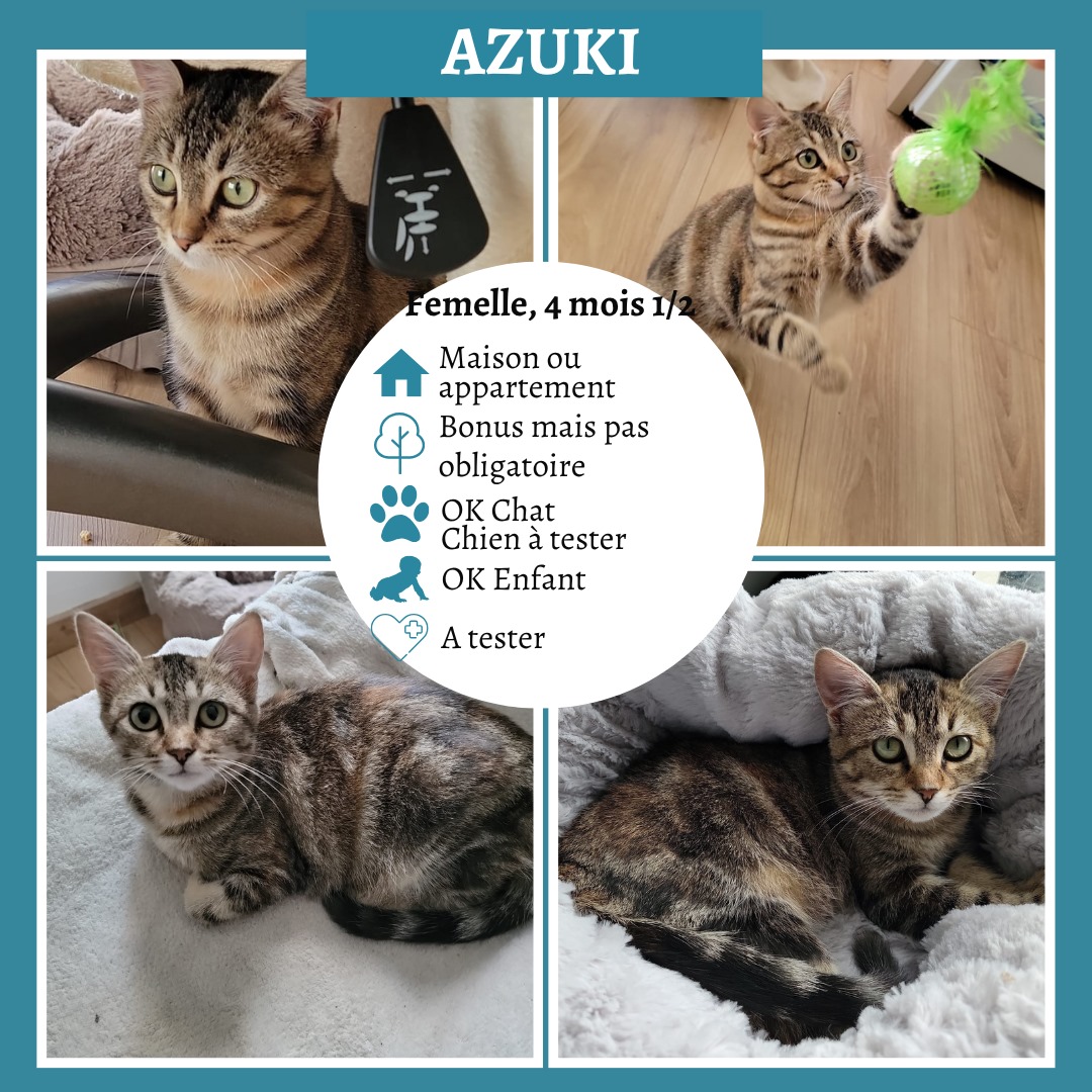 Azuki