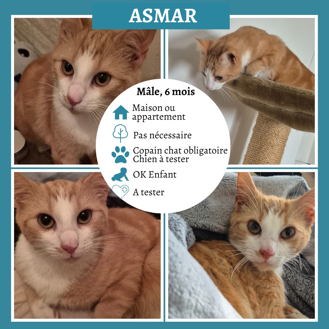 Asmar