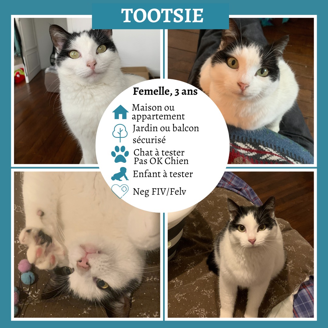 Tootsie