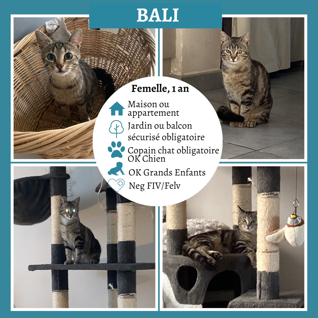 Bali
