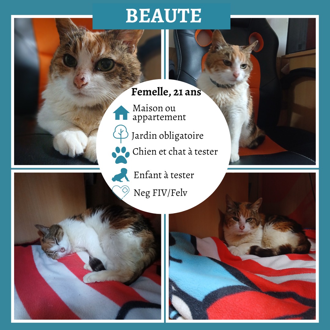 Beauté