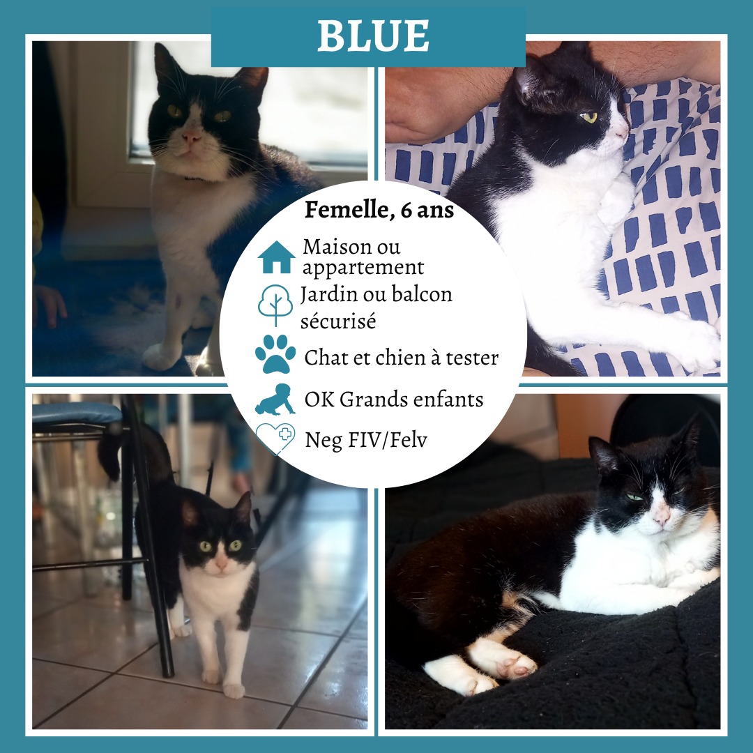 Blue