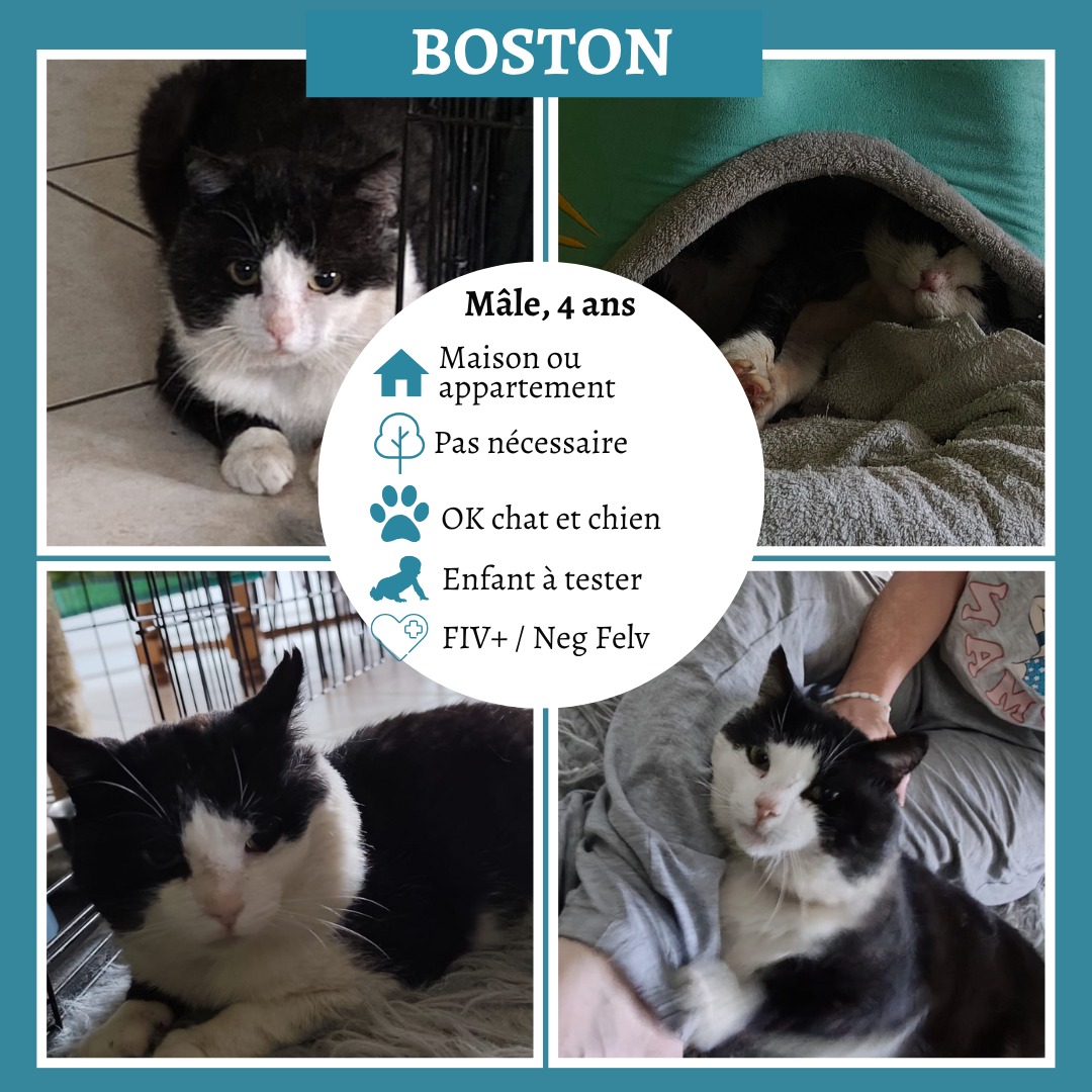 Boston